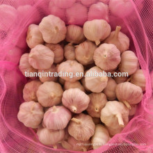 20kg bags garlic for thailand